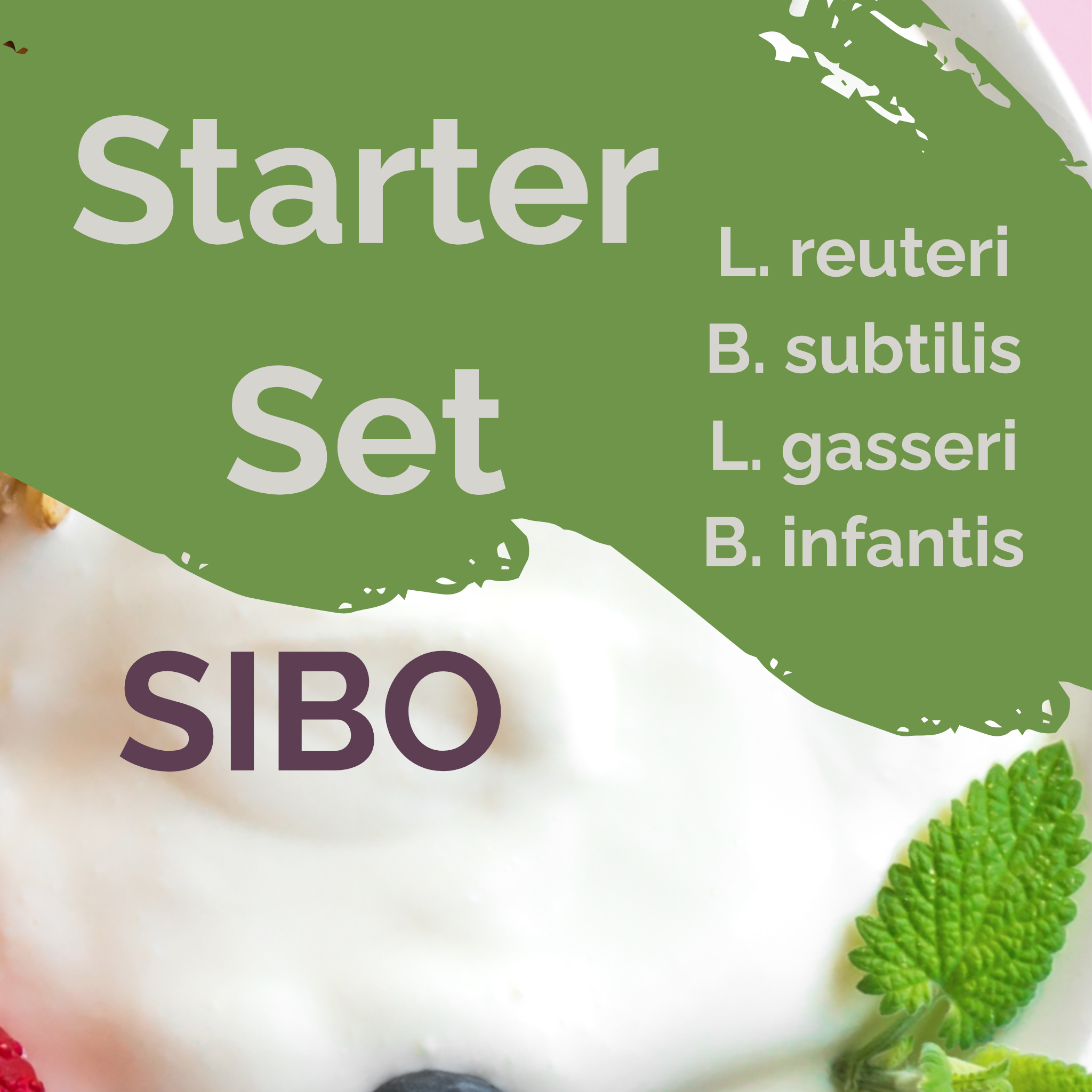 L. reuteri + B. subtilis + L. gasseri + B. infantis | Conjunto Inicial para Iogurte | Estável para SIBO | Culturas Iniciais | Pack de 3