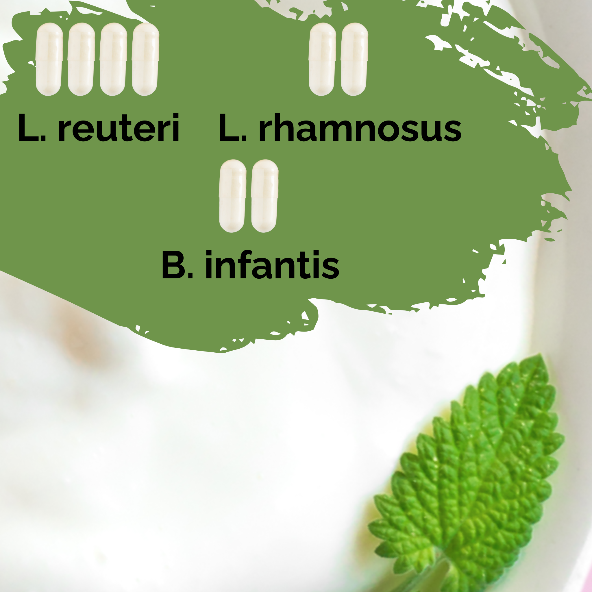 L. reuteri + L. rhamnosus + B. infantis | Conjunto Inicial para Iogurte | Intestino Feliz | Culturas Iniciais | Pack de 3