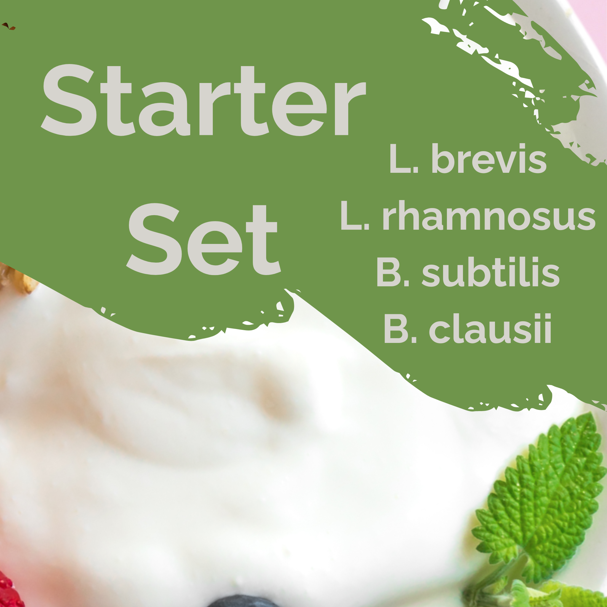 L. brevis + L. rhamnosus + B. subtilis + B. clausii | Conjunto Inicial para Iogurte | Proteção Intestinal | Culturas Iniciais | Pack de 3