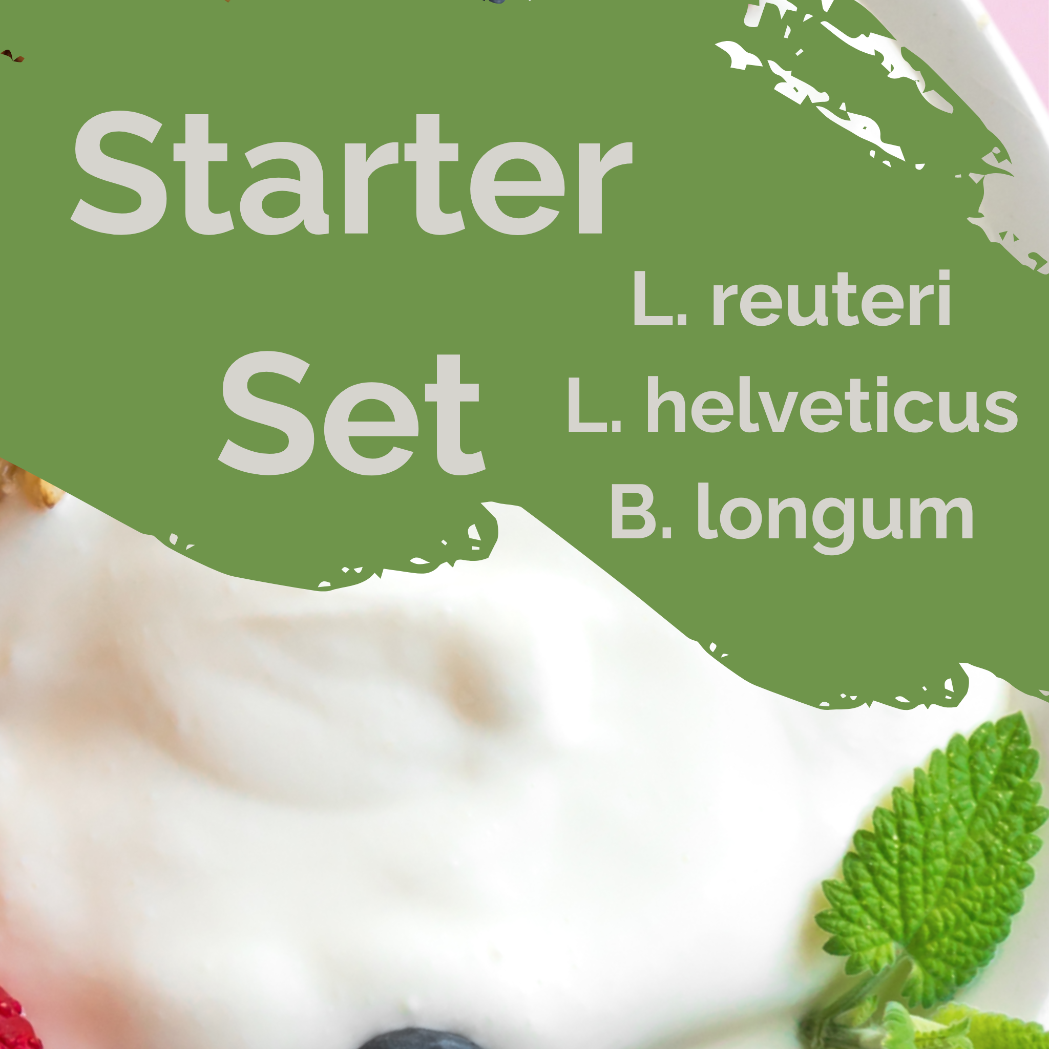 L. reuteri + L. helveticus + B. longum | Conjunto Inicial de Iogurte | Harmonia Intestinal | Culturas Iniciais | Pack de 3