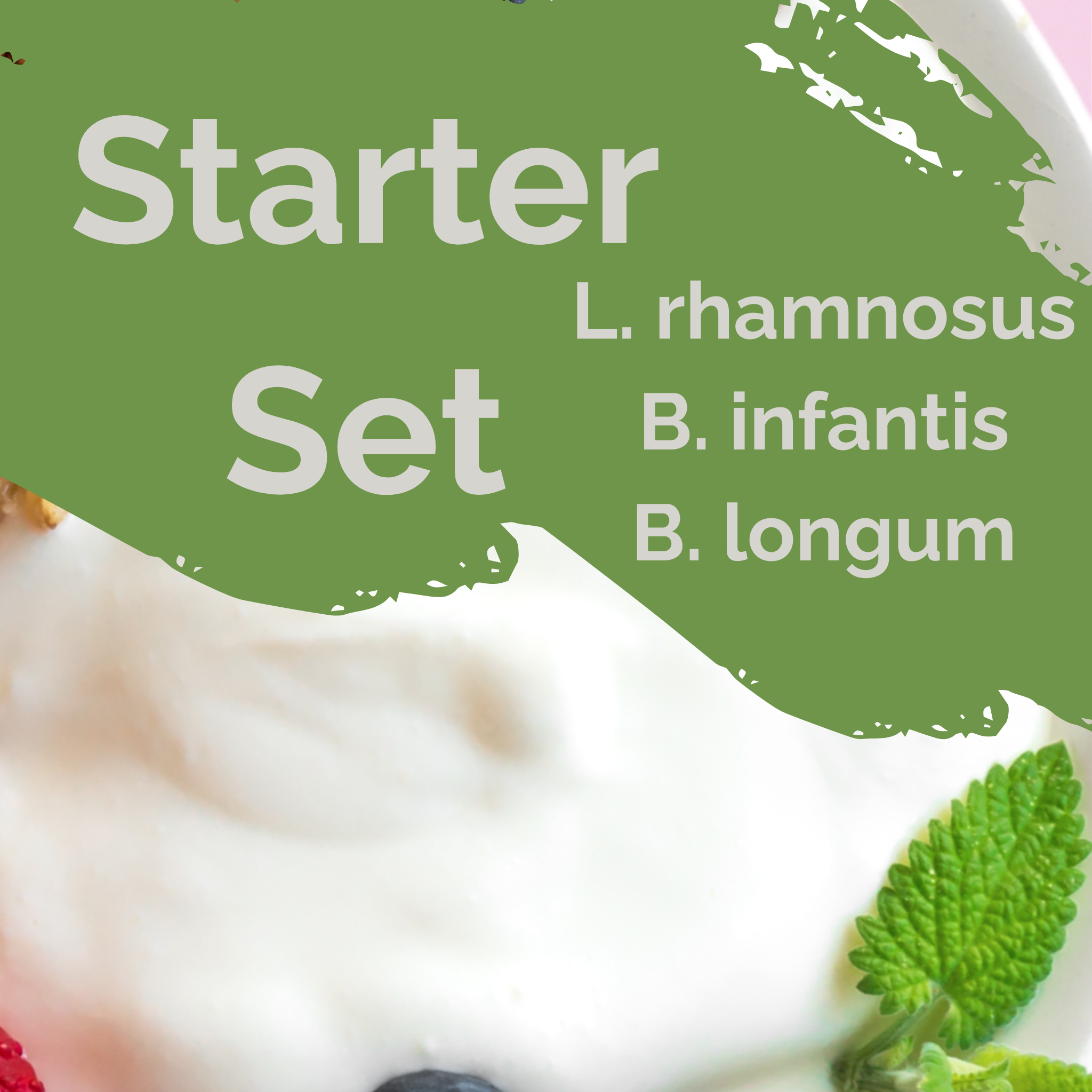 L. rhamnosus + B. infantis + B. longum | Conjunto Inicial para Iogurte | Equilíbrio Intestinal | Culturas Iniciais | Pack de 3